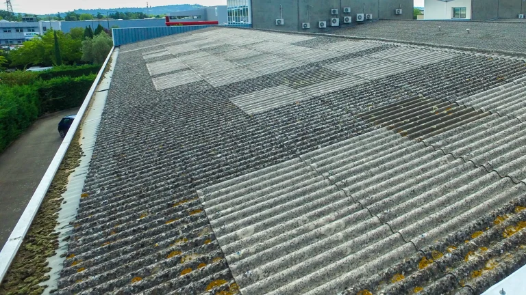 Inspection de toiture par drone avant démoussage